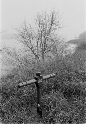 Sacramento Delta Levee with Cross